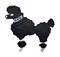 6 inch Black Poodle Dog, Facing Left, Embroidered Iron on Patch